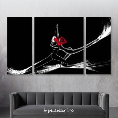Tablou canvas abstract ABS103