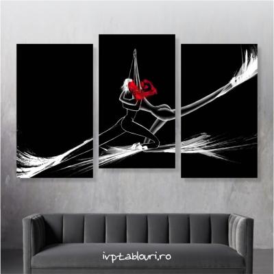 Tablou canvas abstract ABS103