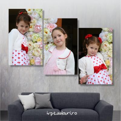 Tablou multicanvas familie FAM600