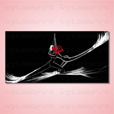 Tablou canvas abstract ABS103-A