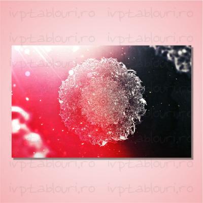 Tablou canvas abstract ABS105-A