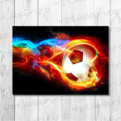 Tablou canvas abstract ABS131-A