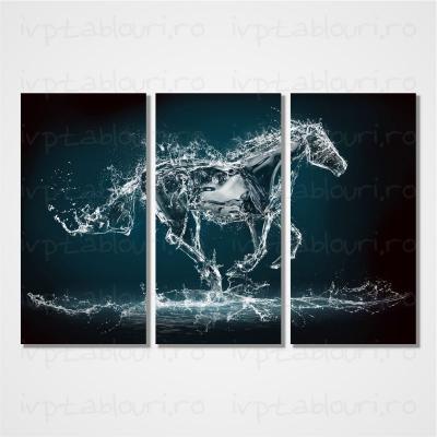 Tablou multicanvas abstract ABS301-A