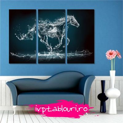 Tablou multicanvas abstract ABS301