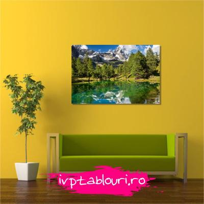 Tablou canvas natura NAT104