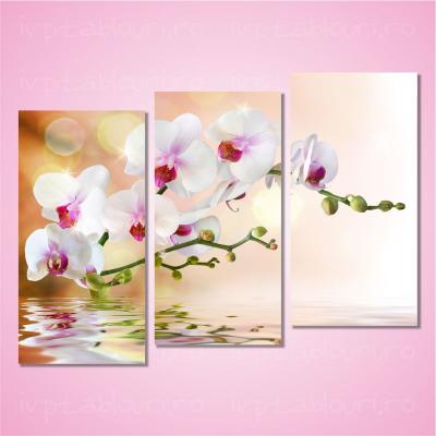 Tablou multicanvas natura NAT302-A