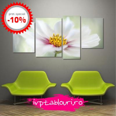 Tablou promotie natura NAT401