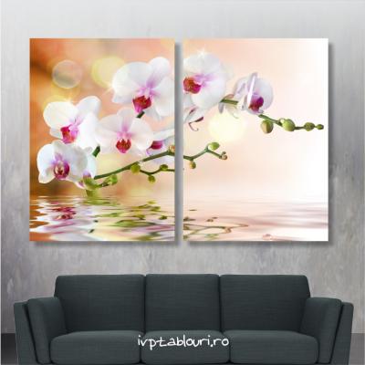 Tablou multicanvas natura NAT302