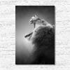 Tablou canvas animale PET106-A